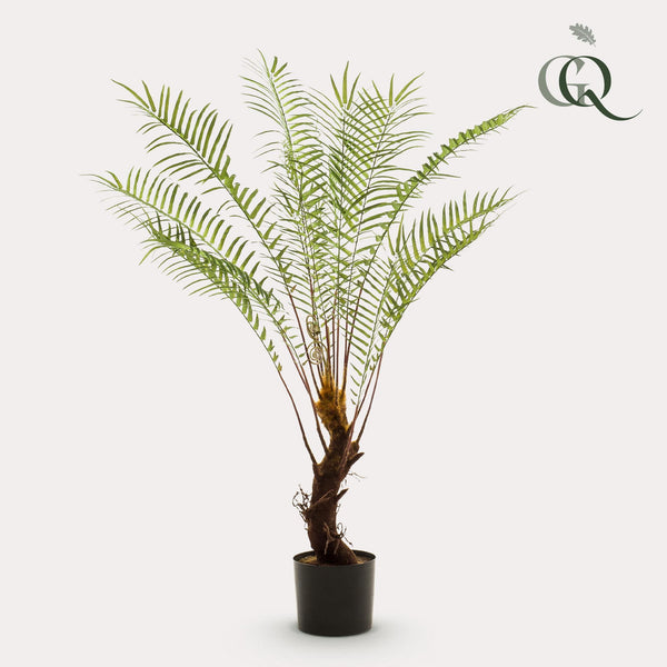 Planta artística - Boomvaren - x15 -1 25cm