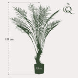 Planta artística - Boomvaren - x15 -1 25cm