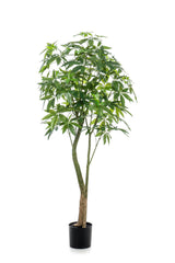 Planta artística - Pachira Aquatica - Geldboom - 180 cm