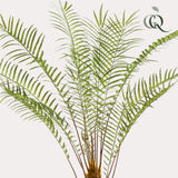 Planta artística - Boomvaren - x15 -1 25cm