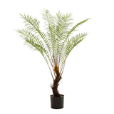 Planta artística - Boomvaren - x15 -1 25cm