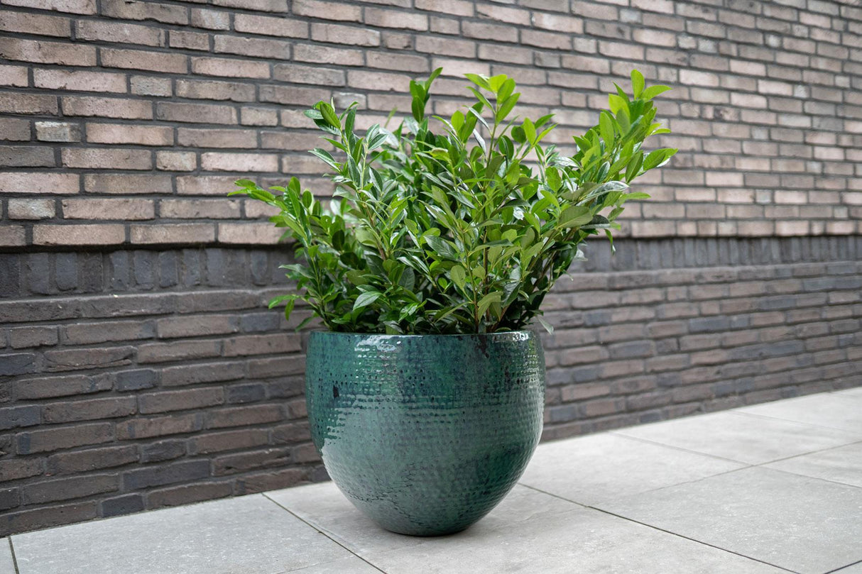 Conjunto de três vasos de cerâmica verde escuro